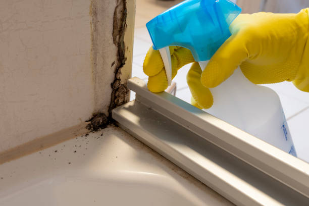 Best Mold Cleaning Services  in Sumner, IL