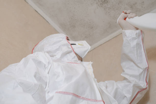 Best Professional Mold Removal  in Sumner, IL
