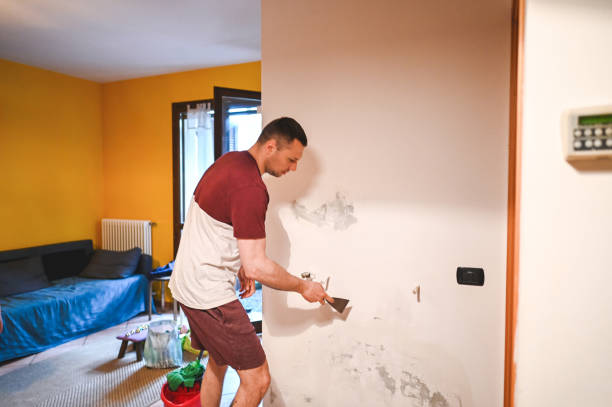 Best Mold Testing and Removal  in Sumner, IL